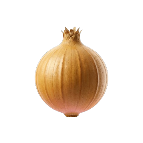 Onion